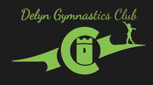 Delyn Gymnastics Club logo